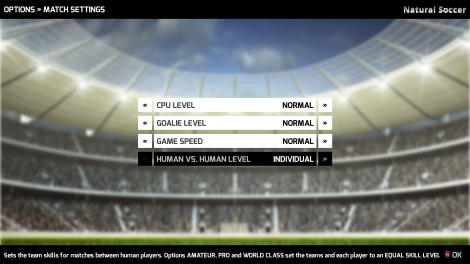 soccer-screenshot-589465231268739